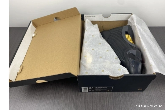 14 Jordan - Retro 487471-022 Moments 487471-022 DMP Defining Pack Air 0309